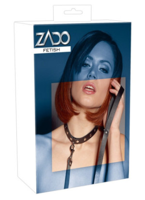 Collar with Leash